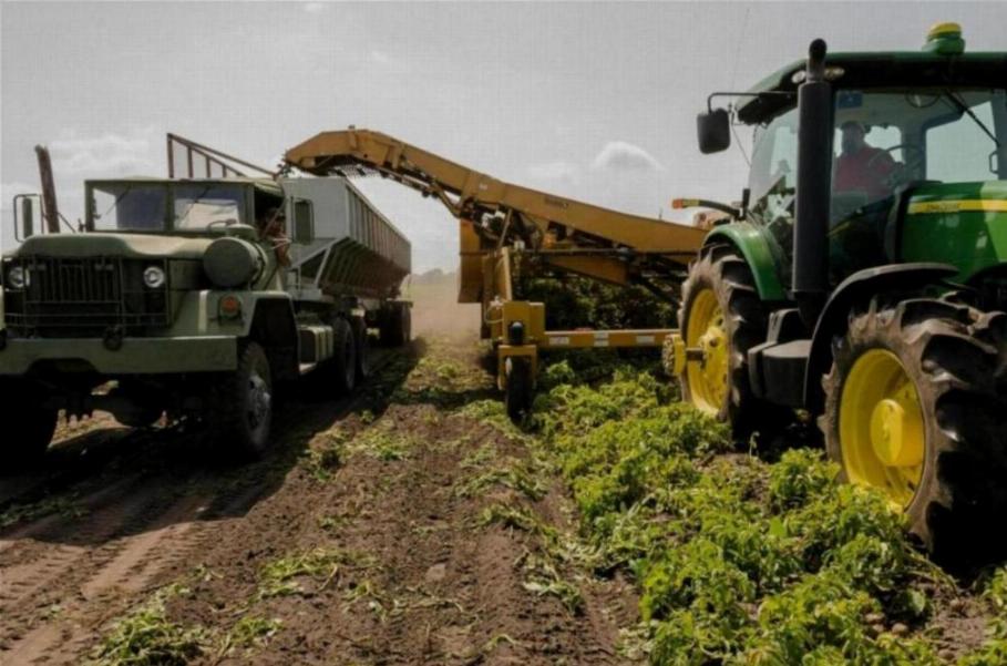 Study Agriculture Course in malaysia (2)